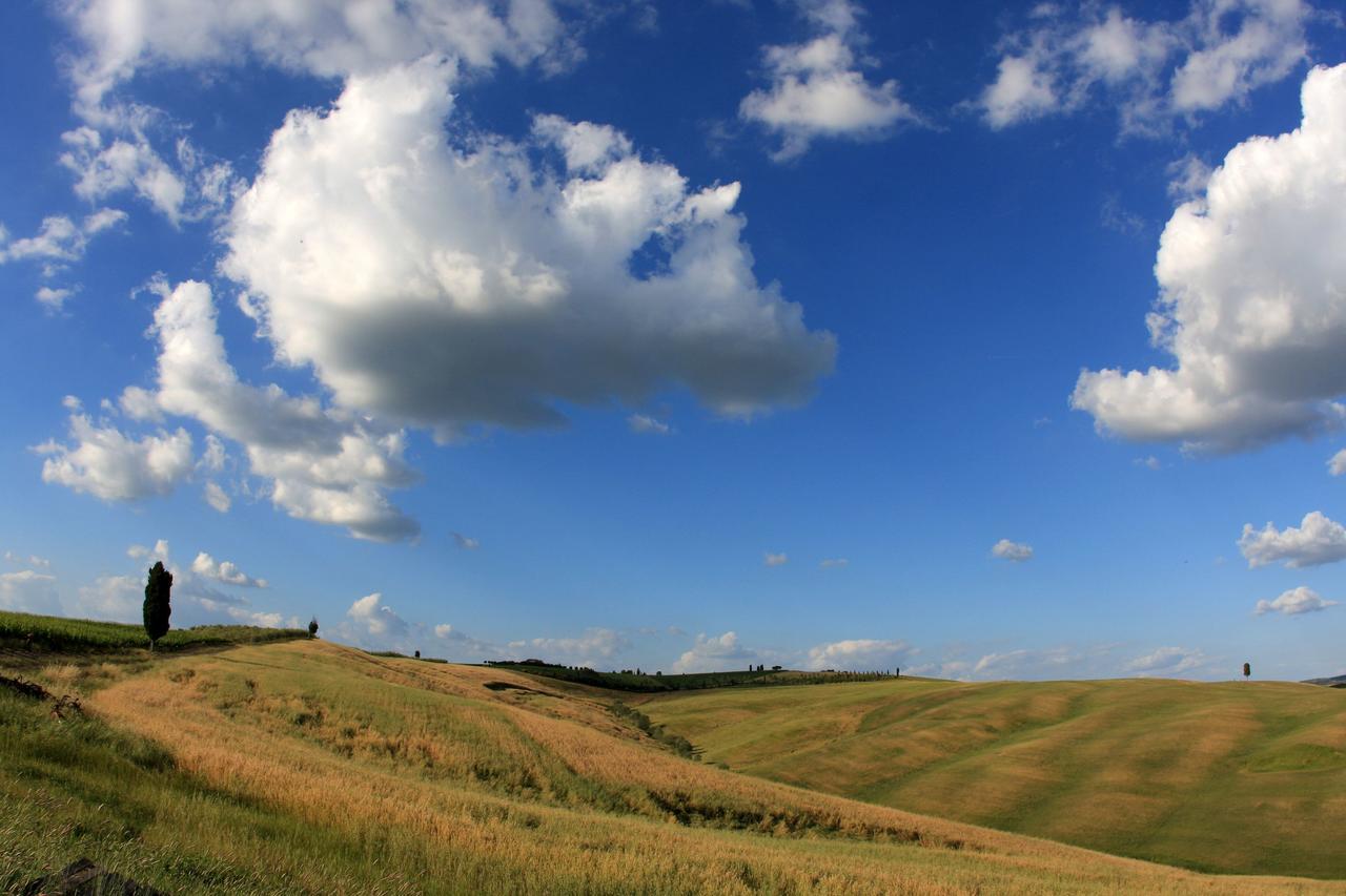 Cordella In Montalcino Wine Resort Buitenkant foto
